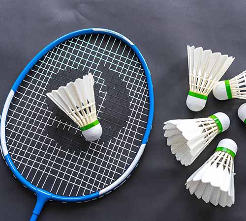 成为了球迷 成为了球迷