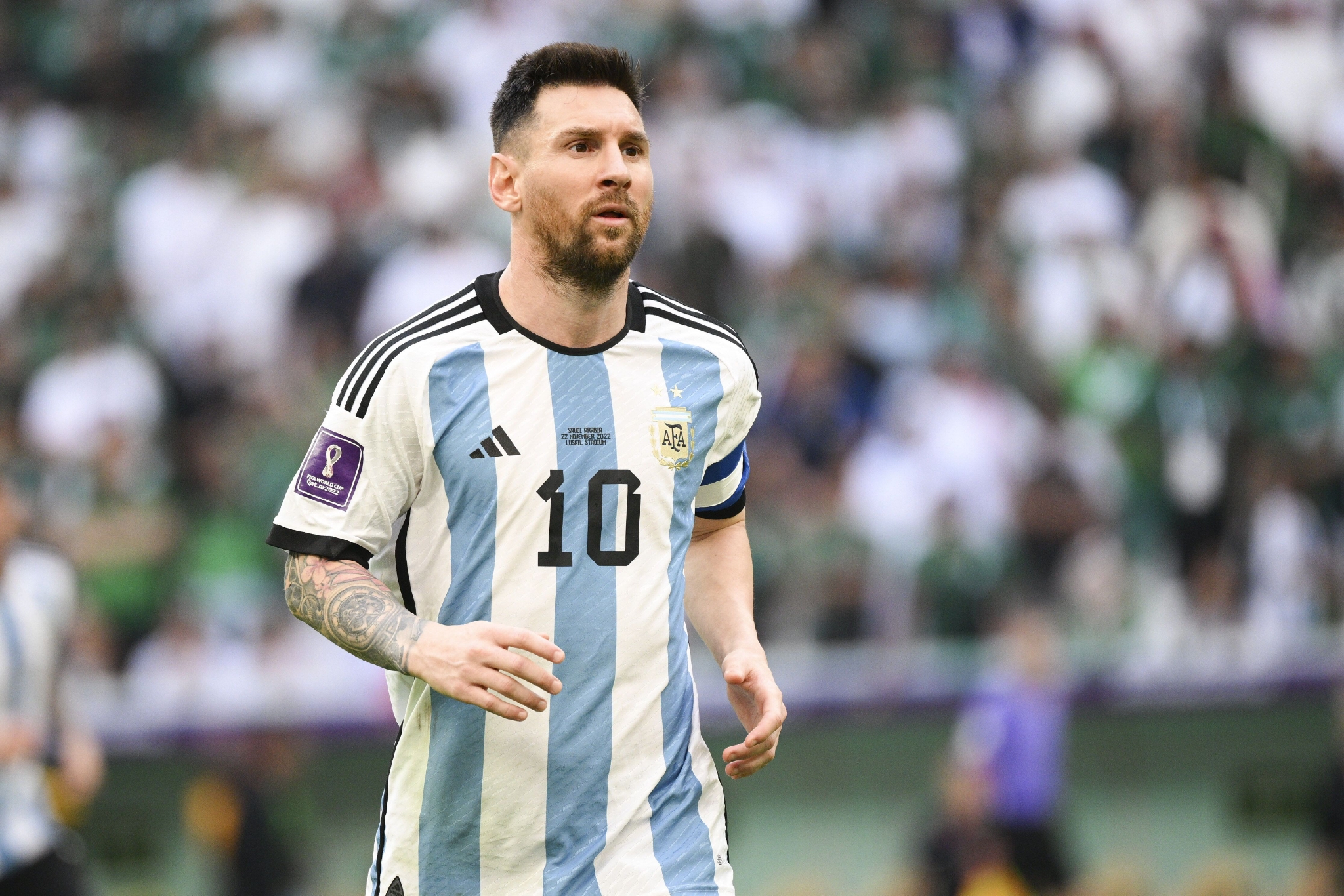 抢先分的分 抢先分的分